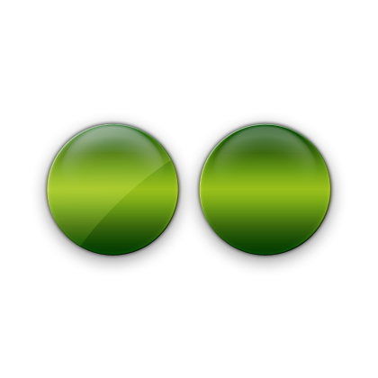 flickr icon