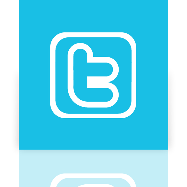 twitter,alt,mirror icon