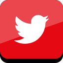connect, media, online, social, twitter svg vector icon