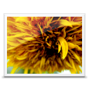 picture,photo,pic,image icon