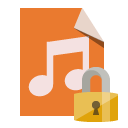 file,type,audio,lock icon