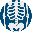 halloween, skeleton svg vector icon