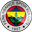 fenerbahce icon