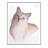 metafont icon