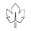 leaf, leafmaple, maple, maple leaf, organic svg vector icon