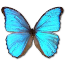 morphogodarti icon