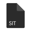 extension, file, format, sit svg vector icon
