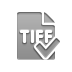 file,format,tiff,checkmark icon