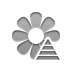 flower,pyramid icon