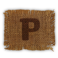 pownce icon
