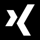 xing svg vector icon