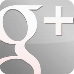 googleplus,gloss,grey icon