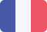 france icon