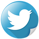 bird, communication, logo, network, tweet, twitter icon