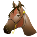 hourse icon