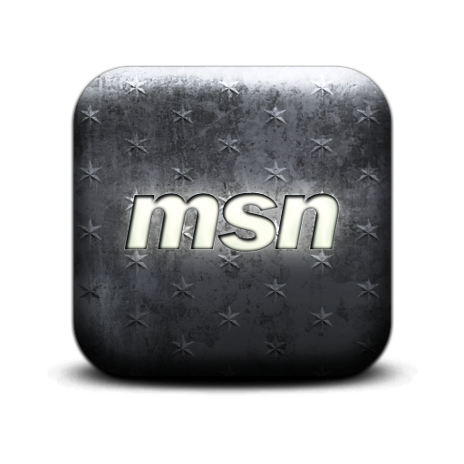 msn,logo icon