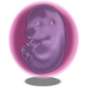 in utero,utero icon