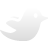 twitter icon