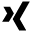 xing icon