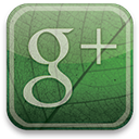 eco,green,google,plus icon