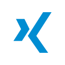 business, connection, network, share, social, xing svg vector icon