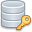 database,key,db,password icon
