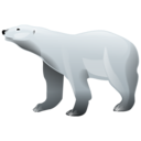 bear, polar icon