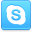 skype icon