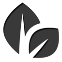 33 icon