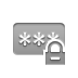 password,lock icon