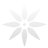 star icon