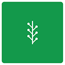 newvine icon