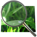 zoom icon