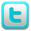 twitter,social network,social,sn icon