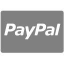 methods, payment, paypal svg vector icon