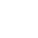 appbar,crown icon