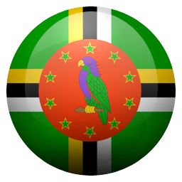 dm icon