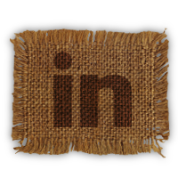 linked,in,linkedin icon