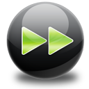 fast icon