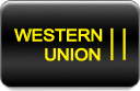 bank, business, buy, card, cash, checkout, credit, donate, financial, income, offer, online, order, payment, price, sale, service, shopping, union, western icon