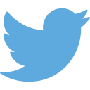 marketing, media, social, twitter, website svg vector icon