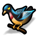 bird, flowerpecker icon
