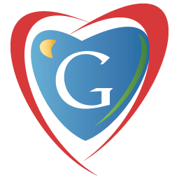 google icon