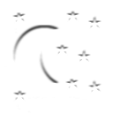 31 icon