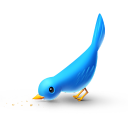 hungry,bird,twitter,animal,social network,social,sn icon