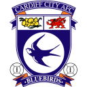 cardiff,city icon