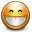 face, grin icon
