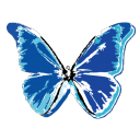 butterfly icon