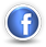 digitaldelight,facebook,mini icon