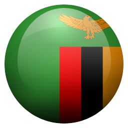 zm icon